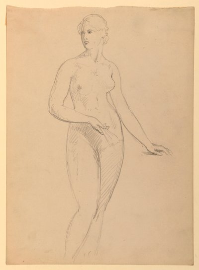 Nudo femminile, studio per il ritratto di Mrs. Henry Schieffelin da Daniel Huntington
