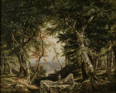 Scorci dalla foresta da Daniel Huntington