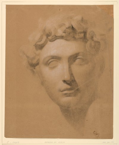 Testa maschile da un calco in gesso da Daniel Huntington