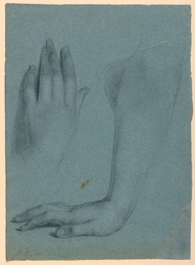 Mano e braccio della Misericordia, studio per "Il sogno della Misericordia" da Daniel Huntington