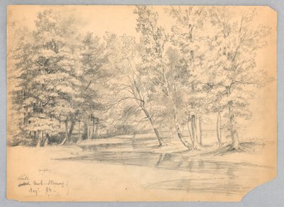 Mill Brook, North Conway, New Hampshire da Daniel Huntington