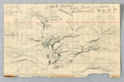 Cespuglio di pini vicino al lago, Lakewood da Daniel Huntington