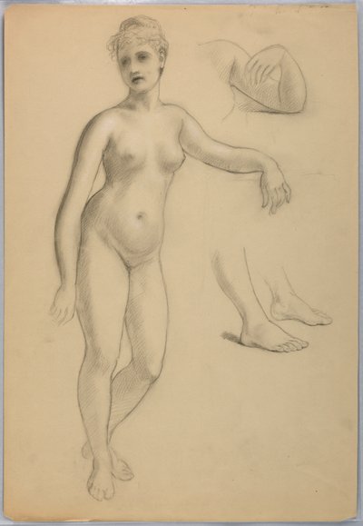 Nudo femminile in piedi da Daniel Huntington
