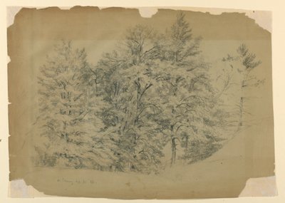 Studio di alberi, North Conway, New Hampshire da Daniel Huntington