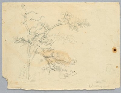 Studio di due pini, Monti Catskill da Daniel Huntington