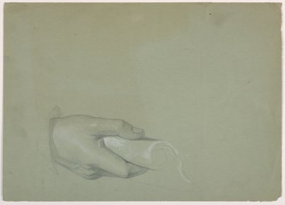 Studio della mano di un uomo per "Il tributo della moneta" da Daniel Huntington