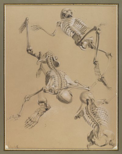 Studio di scheletri, 1848 da Daniel Huntington
