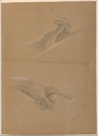 Due studi di mano per l