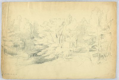 Scena boschiva - West Campton, New Hampshire da Daniel Huntington