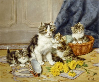 Gattini Giocherelloni da Daniel Merlin