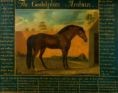 Il Godolphin Arabian da Daniel Quigley
