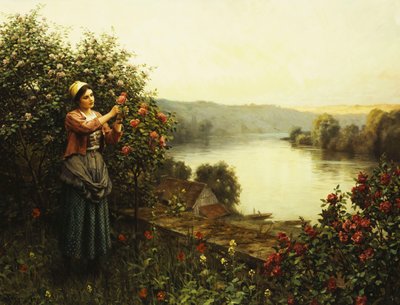 Fiori estivi da Daniel Ridgway Knight