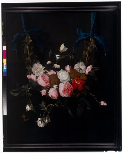 Ghirlande di rose, tulipani, narcisi e altri fiori sospesi da nastri blu da Daniel Seghers