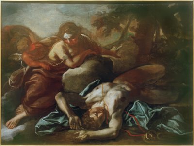 Venere piange la morte di Adone da Daniel Seiter