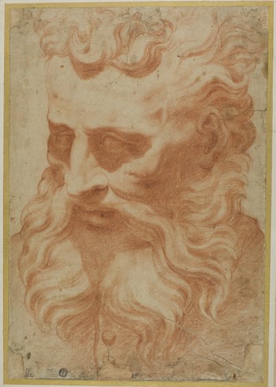 Capo di Dio Padre da Daniele da Volterra