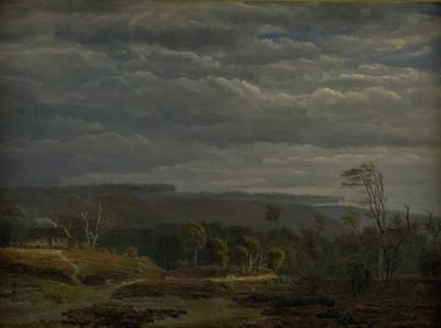 Vista di un paesaggio boscoso nello Jutland da Dankvart Dreyer