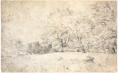 Una figura inginocchiata in un paesaggio montano. Davide? o il figliol prodigo da Dankvart Dreyer