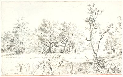 Paesaggio con bosco e prato da Dankvart Dreyer
