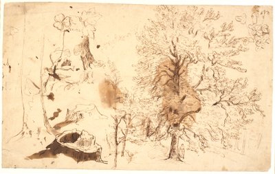 Studio con alberi, piante e ceppi da Dankvart Dreyer