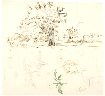 Studi di quercia, foglie di ranuncolo e altro da Dankvart Dreyer