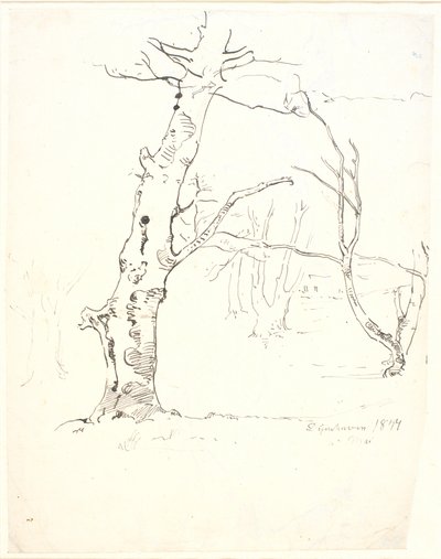 Tronchi d
