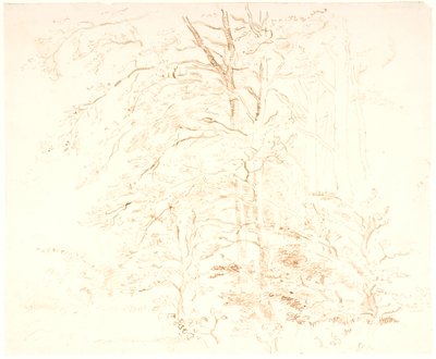 Studi di alberi da Dankvart Dreyer