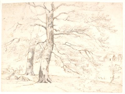 Vista su un paesaggio, in primo piano grandi faggi da Dankvart Dreyer