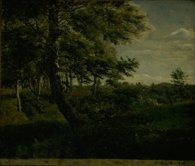 Foresta di Ørsbjerg ad Aarup, Funen da Dankvart Dreyer