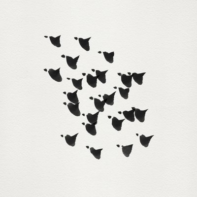 Il volo degli uccelli minimalista da Danushka Abeygoda