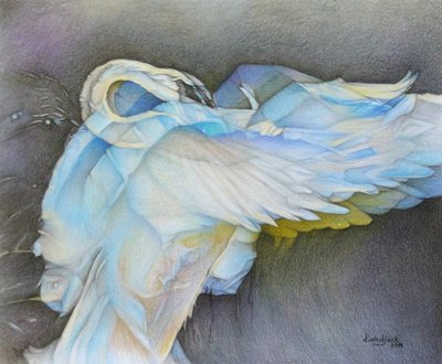 Prendere il volo, 2019 da Darrell Windjack