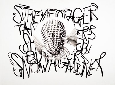 Lansdcape, 2003 (inchiostro su carta) da Darren Coffield