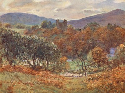 Castello di Newark, sul fiume Yarrow da David (after) Murray