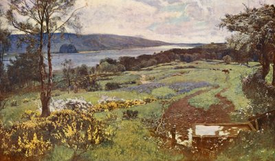 Il Clyde, con vista su Dumbarton Rock da David (after) Murray