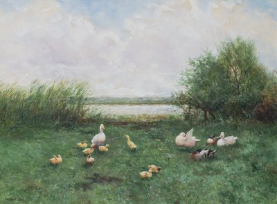 Anatre e Anatroccoli da David Adolph Constant Artz