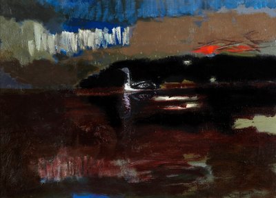 Strolaga dal collo nero da David Alan Redpath Michie
