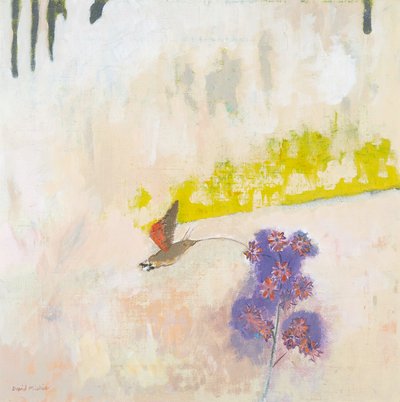 Sfinge convolvolo su un fiore da David Alan Redpath Michie