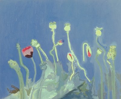 Teste di papavero da David Alan Redpath Michie