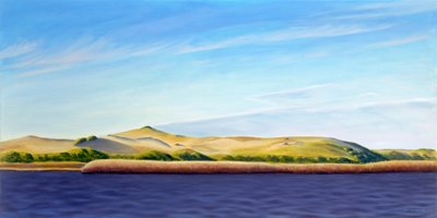 Entrando nelle Provincelands, 2013 (olio su tela) da David Arsenault