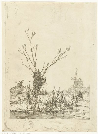 Paesaggio invernale da David Bles
