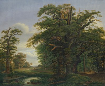 Bosco di querce, 1847 da David Christopher Mettlerkamp
