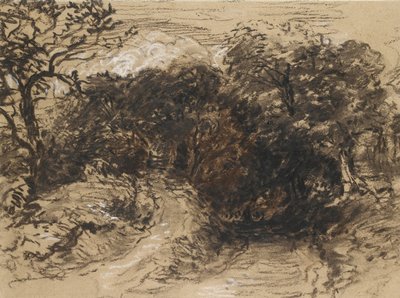 Una Strada Vuota vicino a Harborne, Derbyshire da David Cox