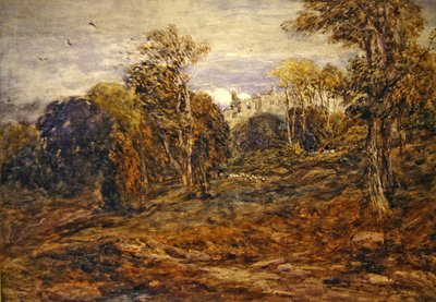 Barden Tower da David Cox