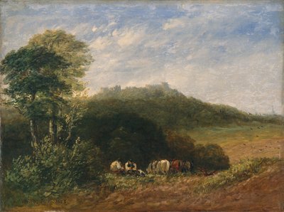 Castello di Dudley da David Cox