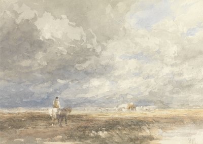 Andare a Hayfield da David Cox