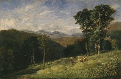 Fienagione vicino a Conway da David Cox