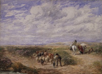 Prendi la strada a sinistra da David Cox