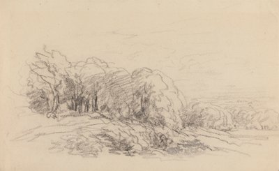 Paesaggio con alberi da David Cox