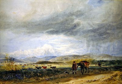 Prati di Llugwy da David Cox
