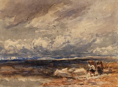 Su Carrington Moss da David Cox