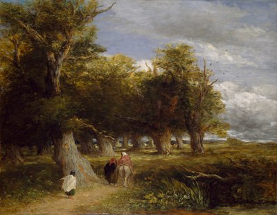 Margini della foresta, 1855 da David Cox